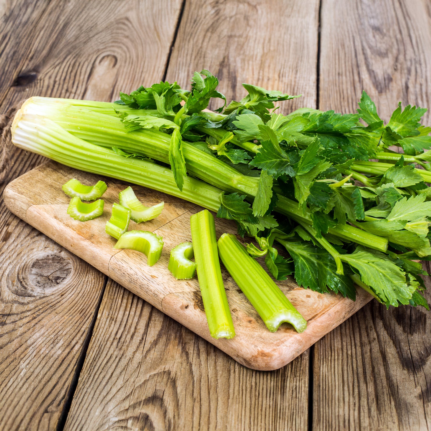 Schnittsellerie - Willemse