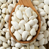 Mais-Stangenbohnen Tarbais - Phaseolus vulgaris haricot maïs type tarbais - Willemse