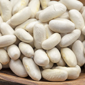 Mais-Stangenbohnen Tarbais - Willemse