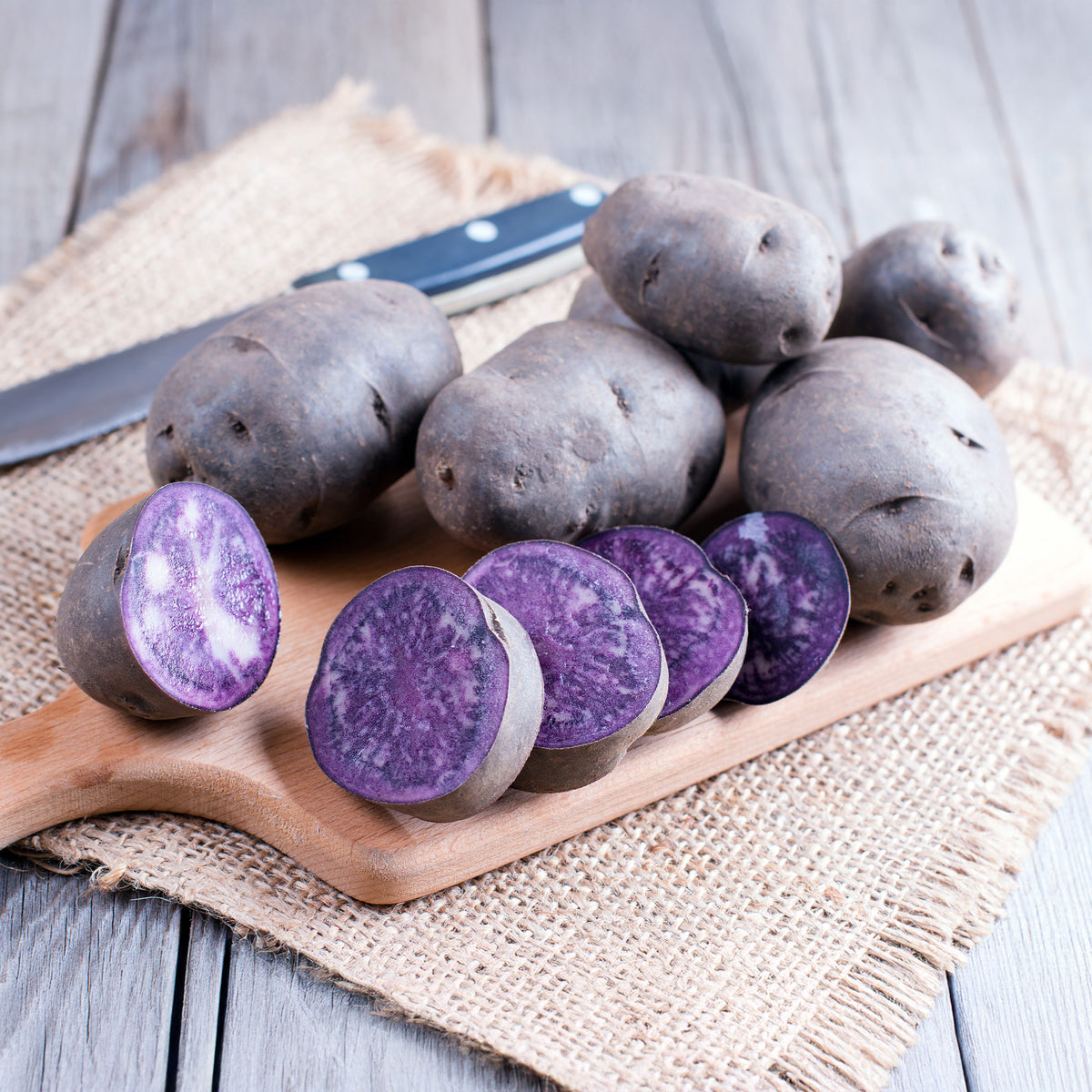 Solanum tuberosum bleue d'artois ® (bleue de la man - Kartoffel Bleue d'Artois ® (x10) - Kartoffelpflanzen