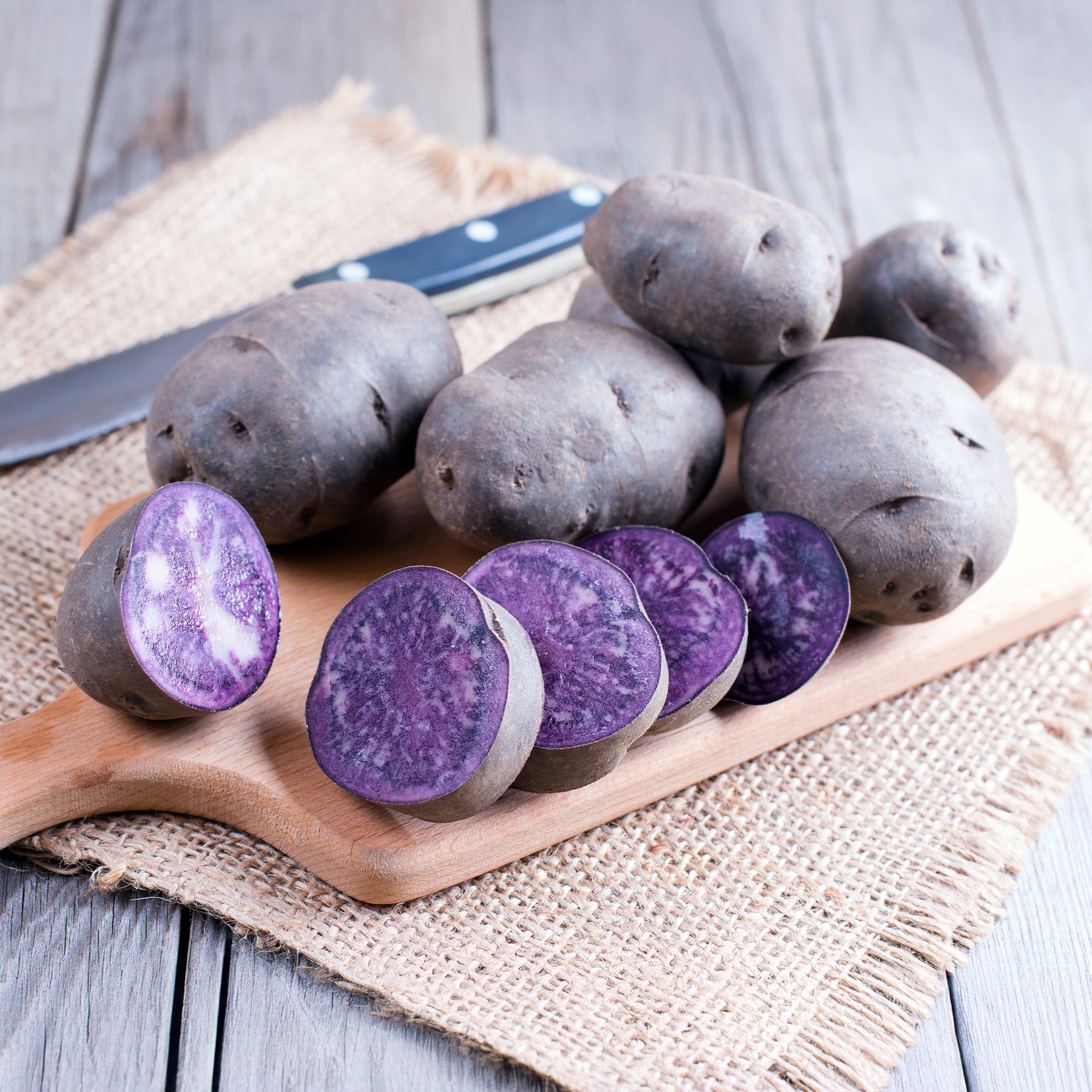 Solanum tuberosum bleue d'artois ® (bleue de la man - Kartoffel ‘Bleue d’Artois®’ (x10) - Kartoffelpflanzen