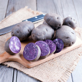 Solanum tuberosum bleue d'artois ® (bleue de la man - Kartoffel ‘Bleue d’Artois®’ (x10) - Kartoffelpflanzen