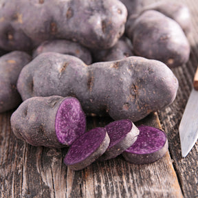 Kartoffelpflanzen - Kartoffel ‘Bleue d’Artois®’ (x10) - Solanum tuberosum bleue d'artois ® (bleue de la man