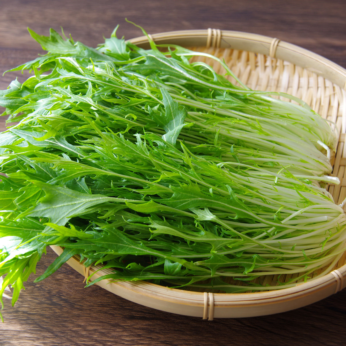 Japanischer Salatkohl Mizuna Bio - Willemse