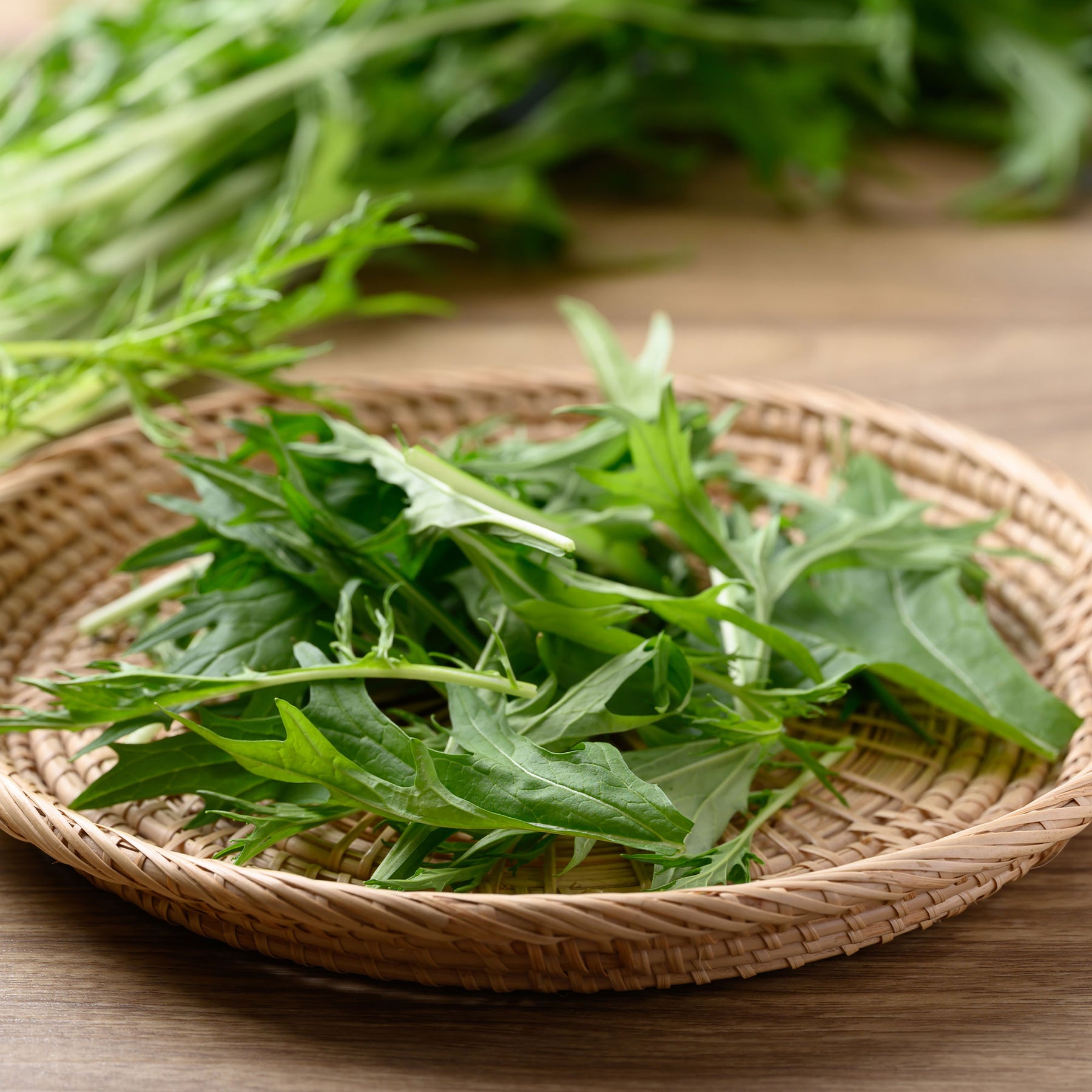 Brassica rapa japonica mizuna - Japanischer Salatkohl Mizuna Bio - Samen für Kohl