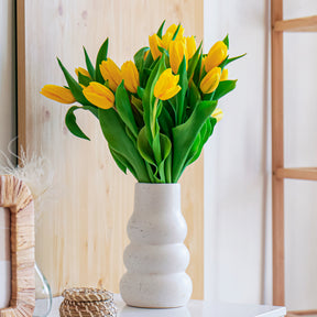 Tulpen-Zwiebeln - Langstielige Tulpe gelb (x5) - Tulipa