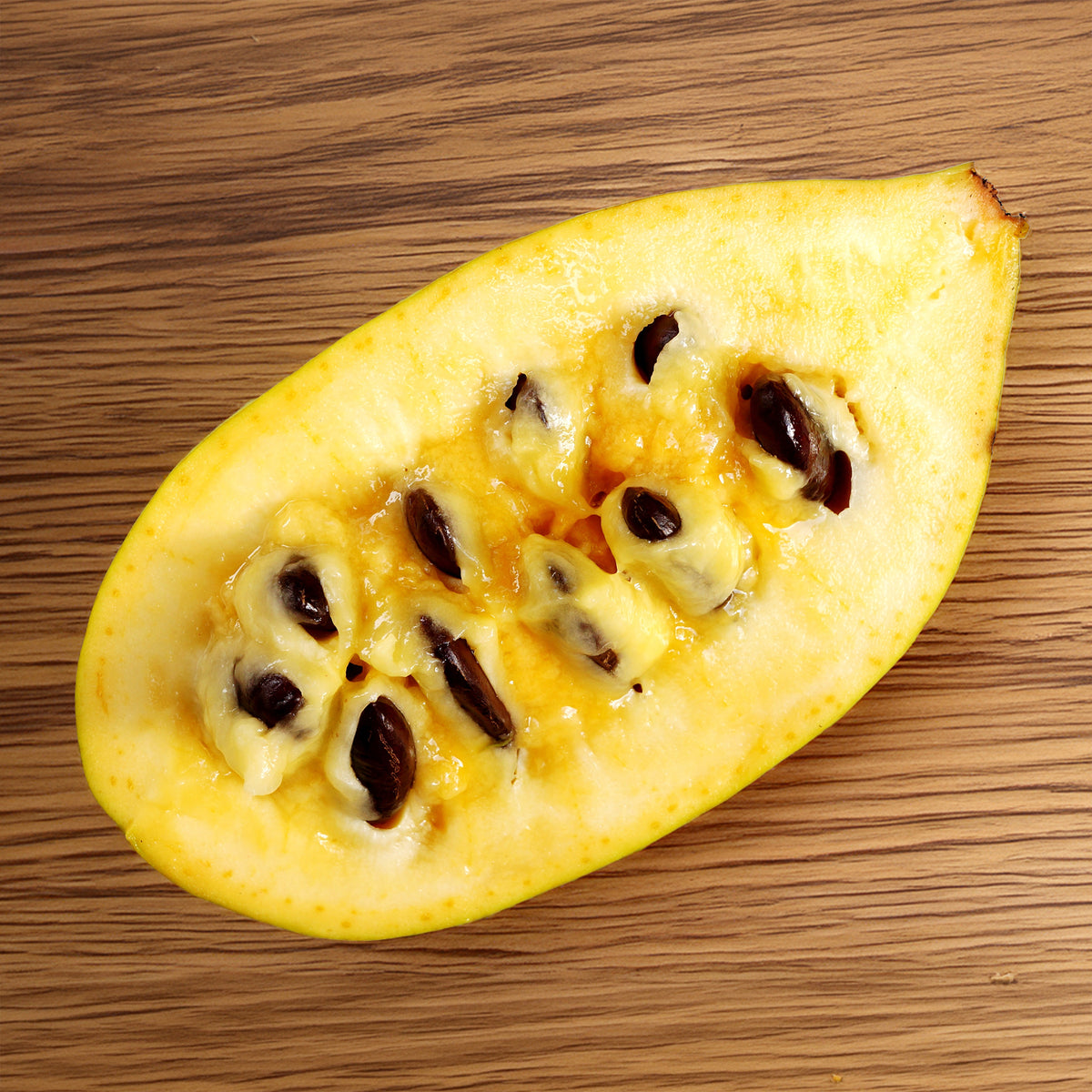 Verkauf  - Asimina Triloba Prima
