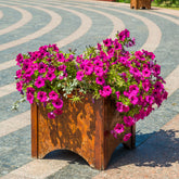 Surfinia pink - Rosa Hängepetunie - Petunien und Calibrachoa