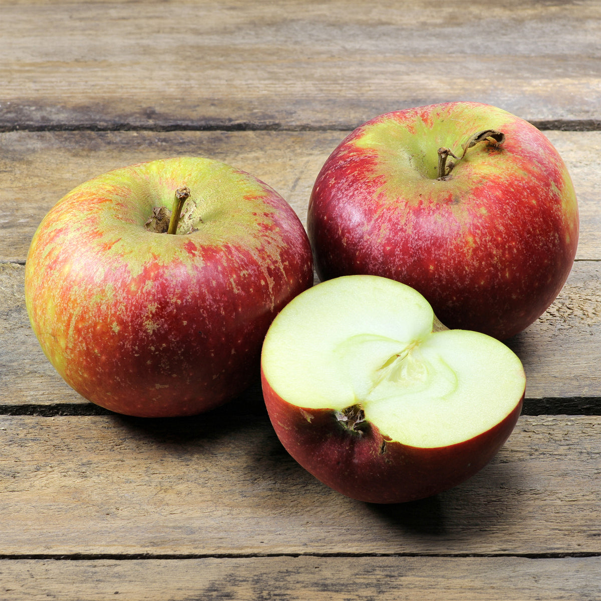 Apfel Ingrid Marie - Malus domestica Ingrid Marie - Willemse