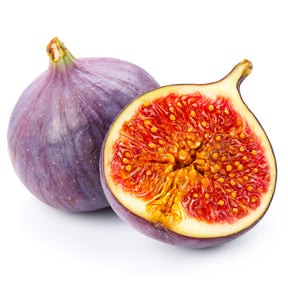 Feigenbaum Ficus carica 'Perretta' - grün-braun - Winterhart