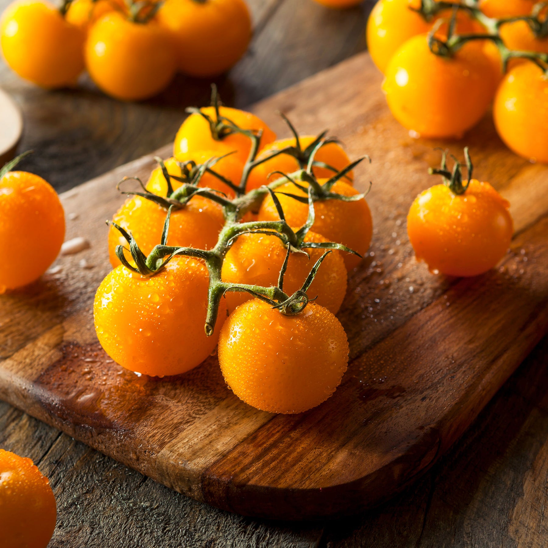 Gelbe Cherrytomate ‚Raisin‘ - Solanum lycopersicum cocktail raisins jaunes - Willemse