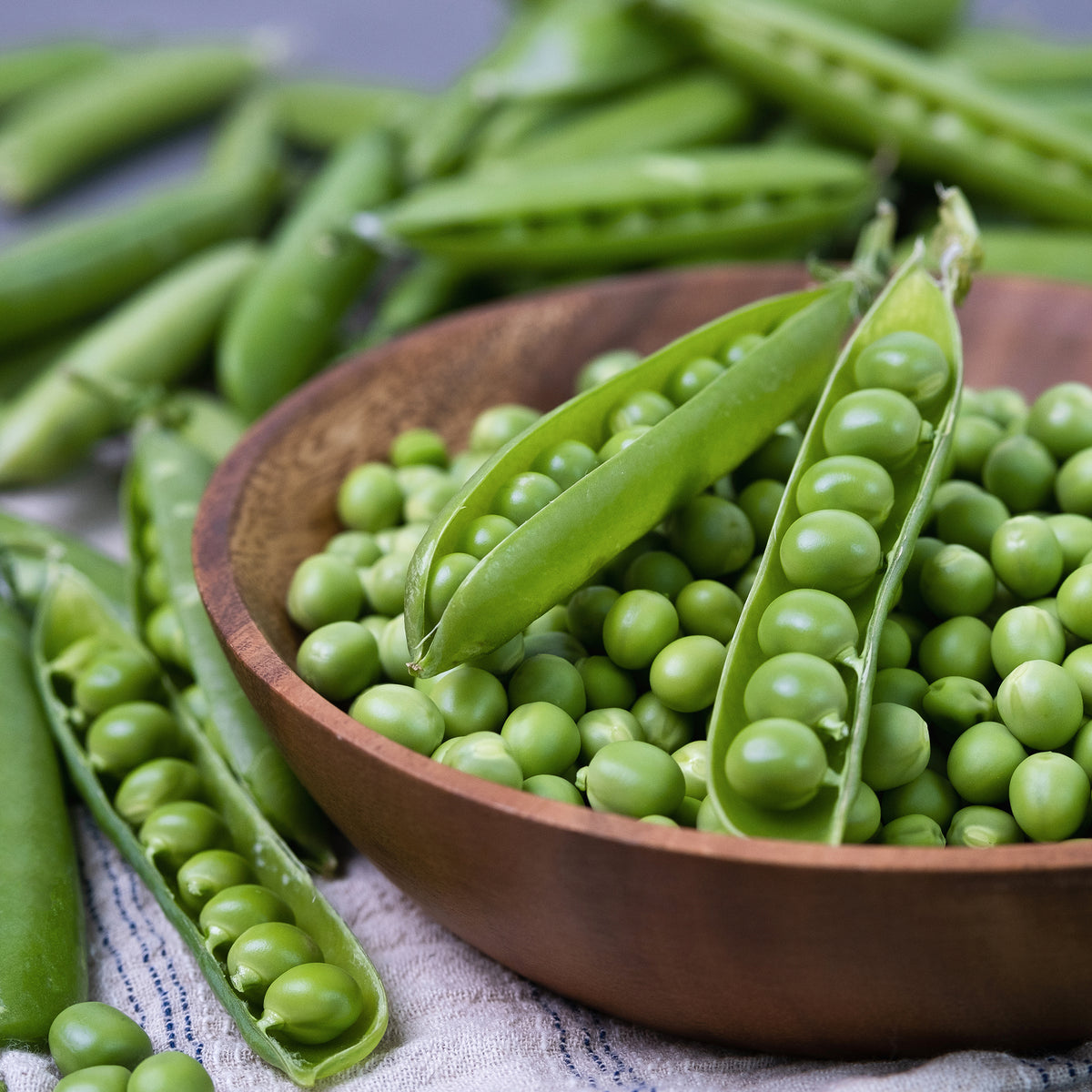 Gartenerbse Plein le panier - Willemse