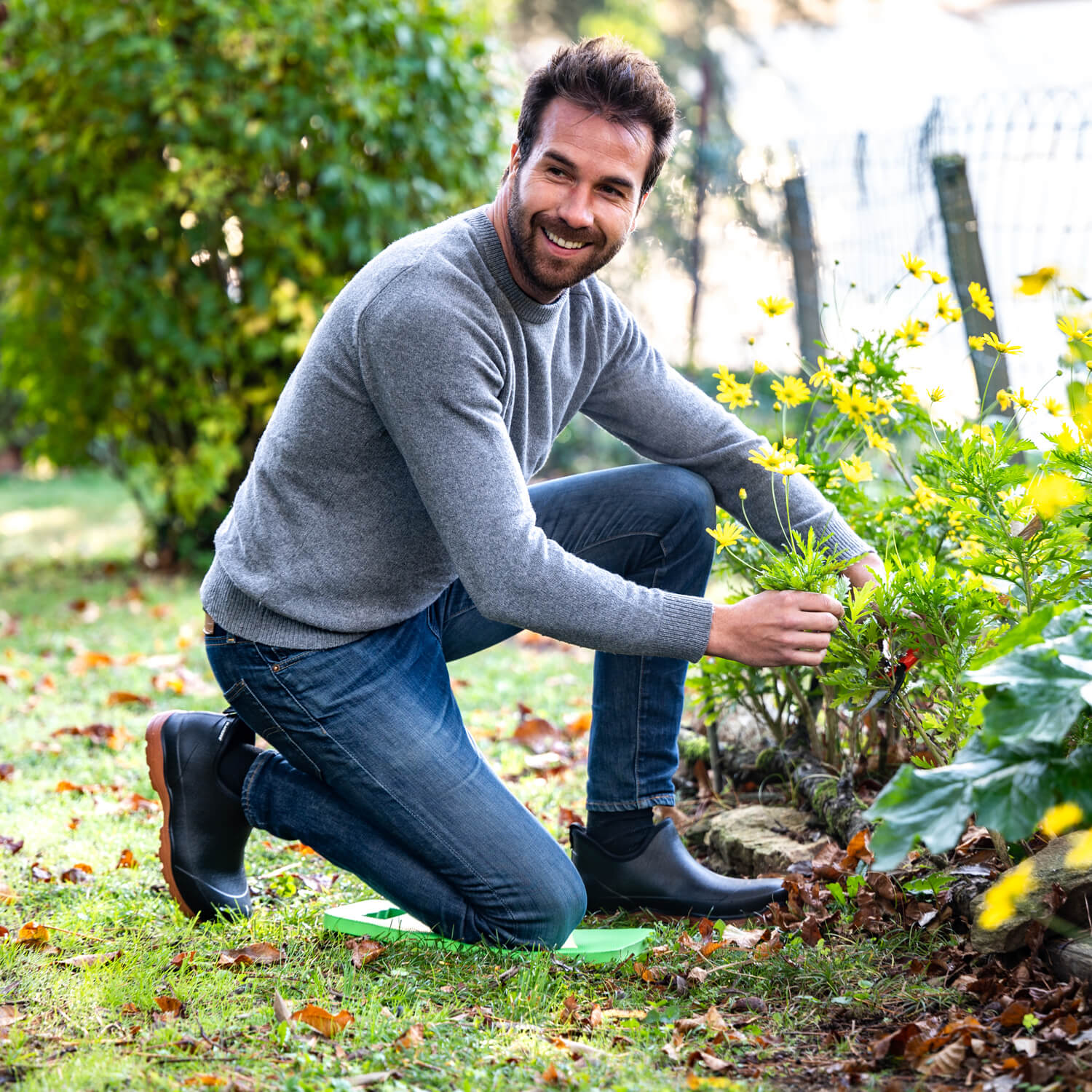 Kniekissen -  - Willemse