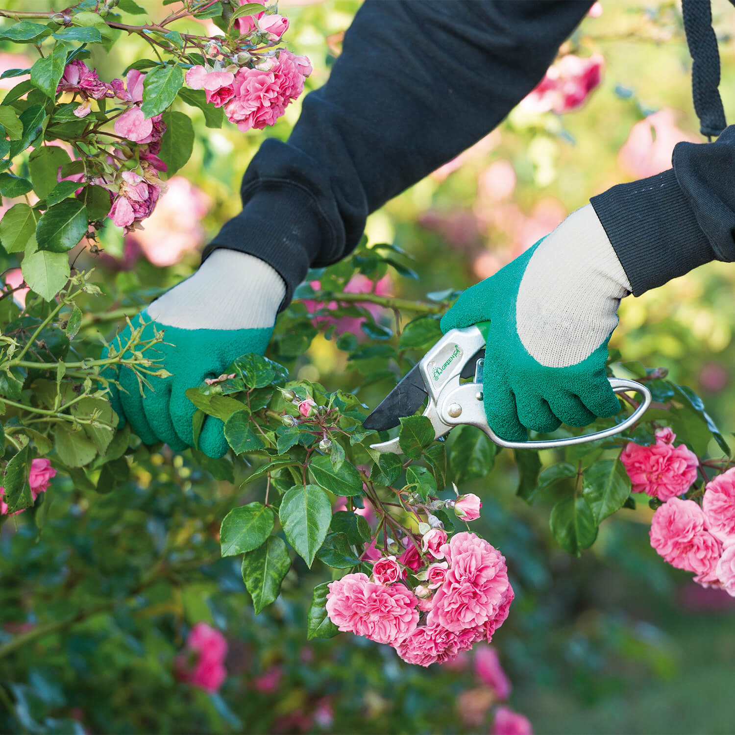 Rosengarten-Handschuhe grün-grau
