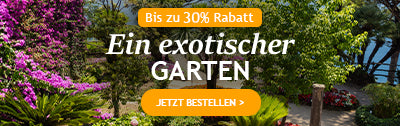 Ein exotischer Garten bis zu 30%!