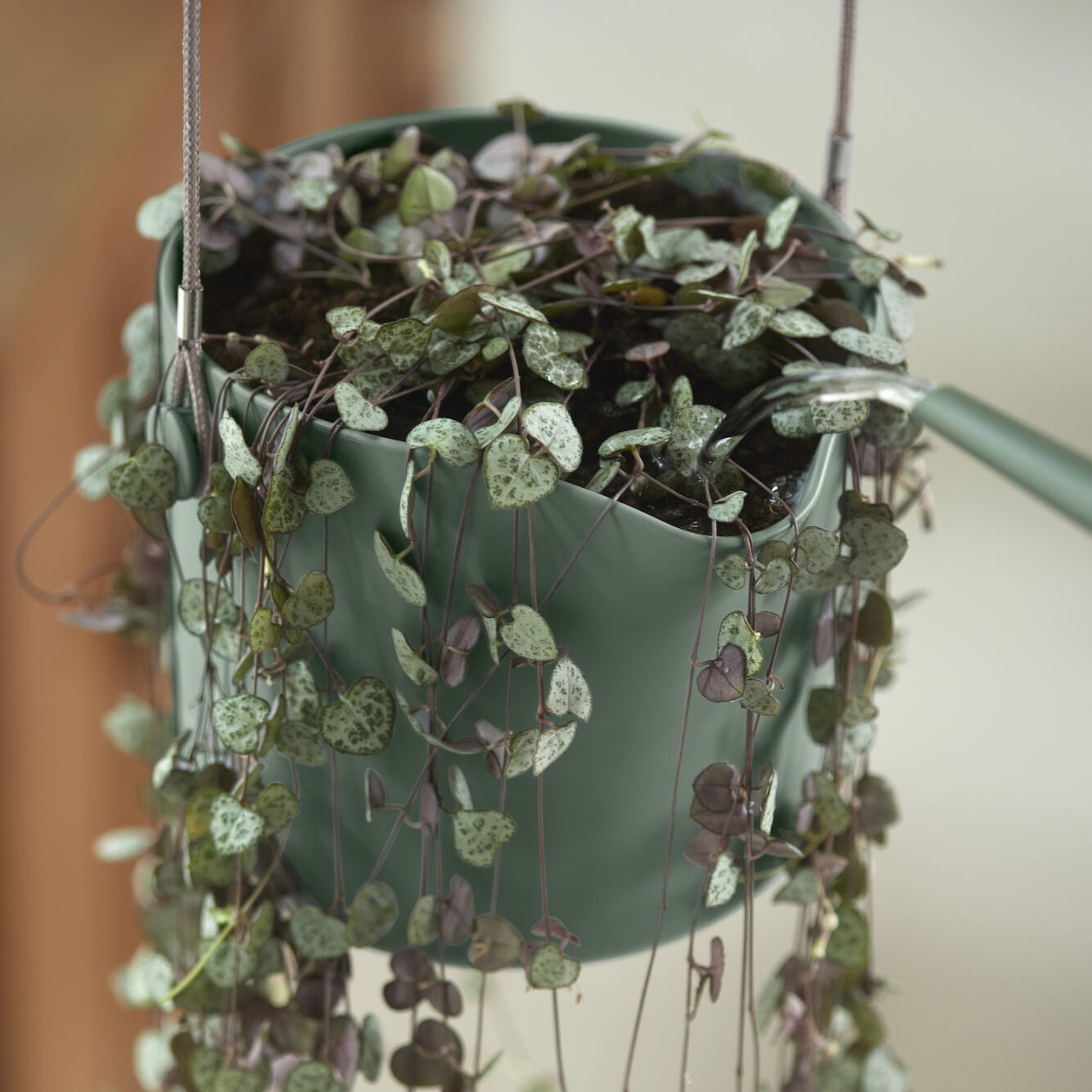 Aufhängung B für Swing grün ELHO - Blumenampel - Willemse