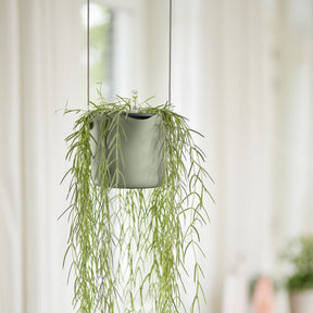 Suspension B für Schaukel Weiß ELHO - Innenblumentöpfe und Übertopf - Willemse