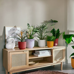 Elho Blumentopf Jazz rund toskanisches rot - Innenblumentöpfe und Übertopf - Willemse