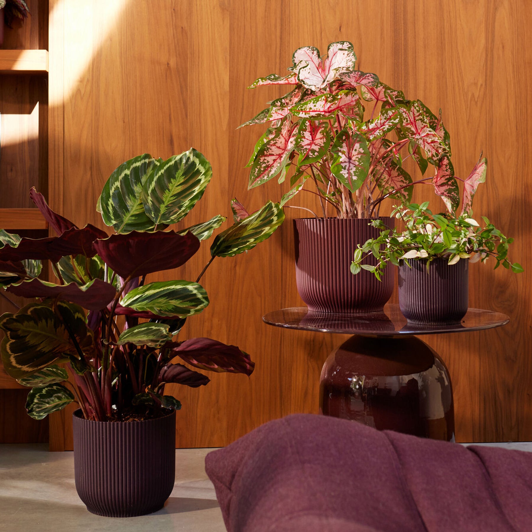 Elho Blumentopf The Winery collection Bordeauxrot