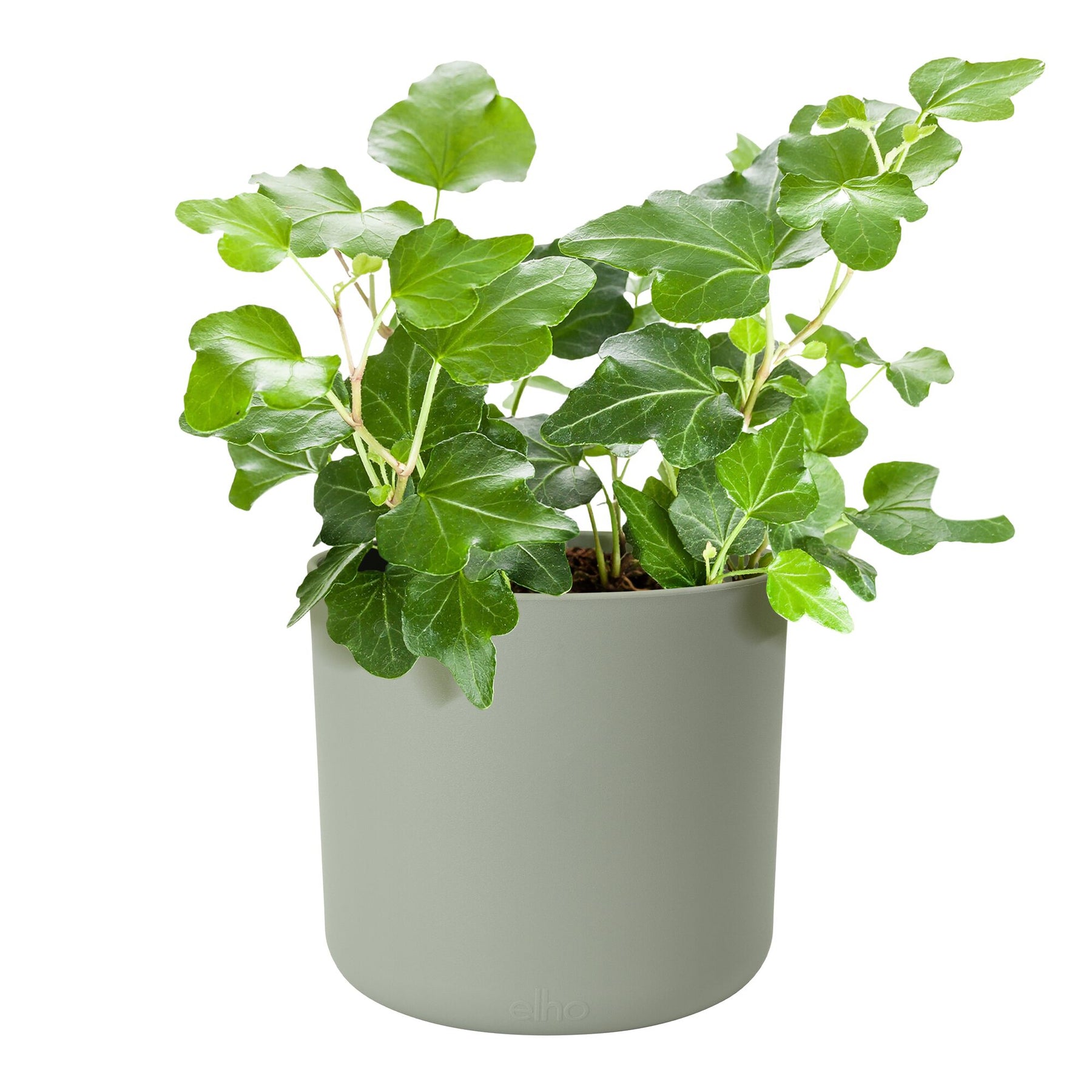 Elho Blumentopf B for soft rund steingrün