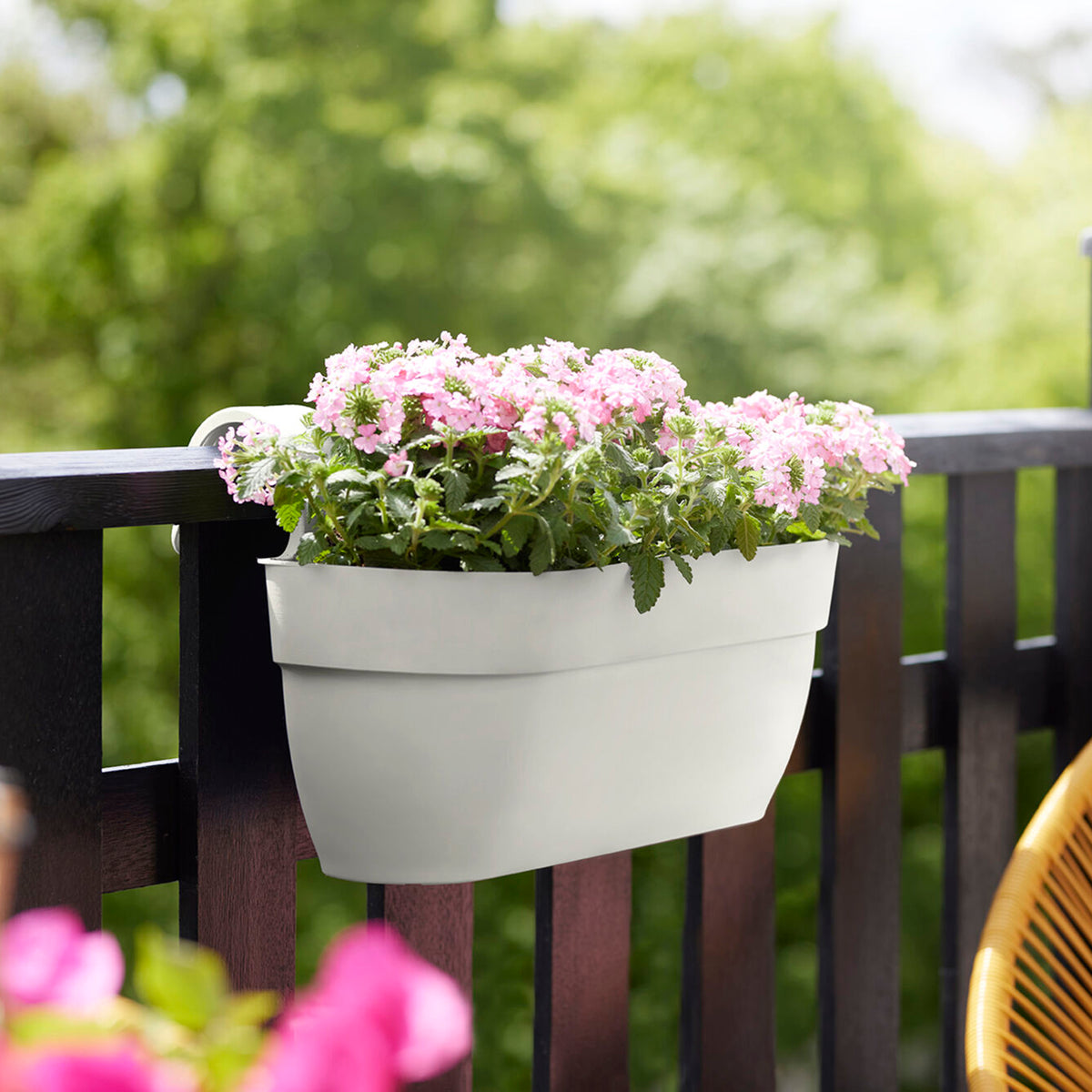 Balkonkasten vibia campana easy hanger large seidenweiß - Willemse