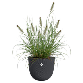 Blumentopf Sereh rund santhrazit -  - Willemse