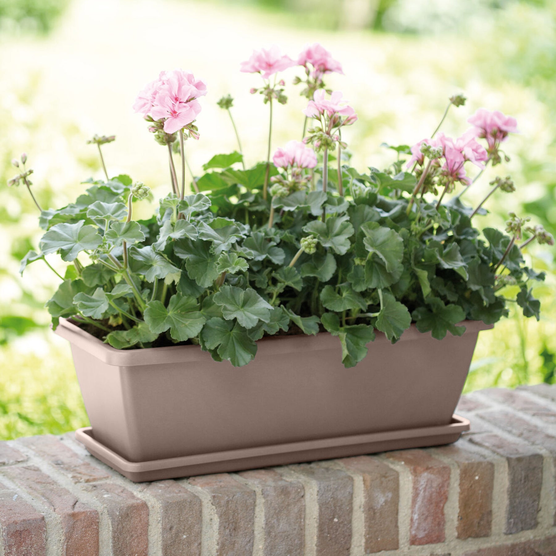 Barcelona Balkonkasten taupe - Willemse