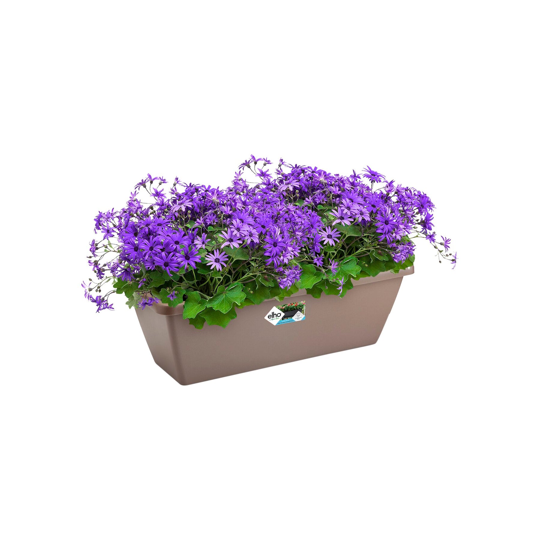 Barcelona Balkonkasten taupe