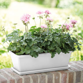 Barcelona Balkonkasten weiß Elho - Willemse