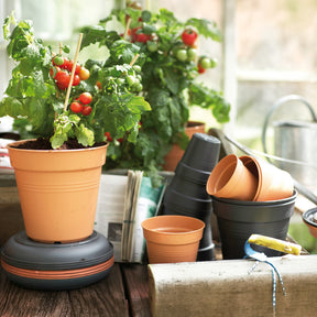 Verkauf Anzuchttopf Green Basics Mild Terra ELHO - 