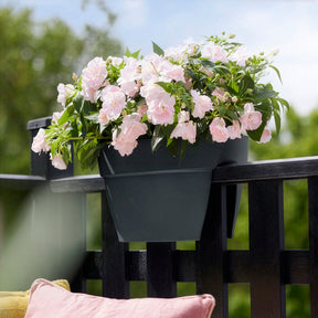 Vibia Campana Flower Bridge Anthrazit ELHO -  - Willemse