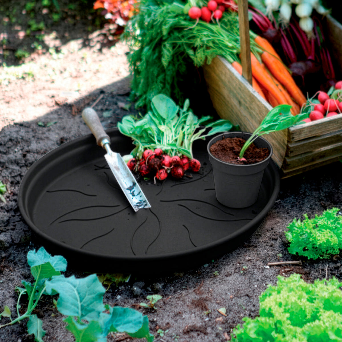 Untersetzer Green Basics  Living Schwarz ELHO -  - Willemse