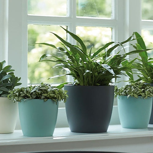 Elho Blumentopf Brussels rund anthrazit