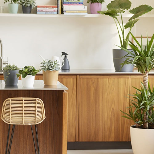 Elho Blumentopf Brussels rund anthrazit