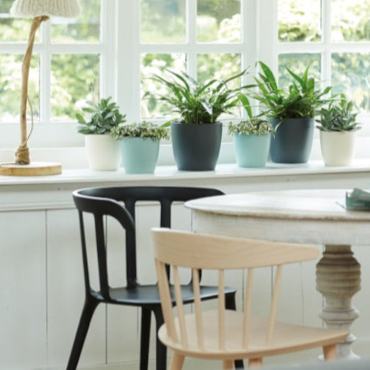 Elho Blumentopf Brussels rund anthrazit