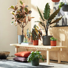 Elho Blumentopf B.for soft rund wei?