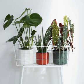 Verkauf Elho Blumentopf B.for soft rund weiß - 