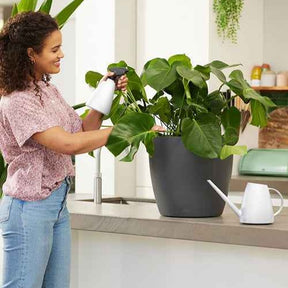 Gartenbewässerung - Elho Gießkanne Brussels weiß - 