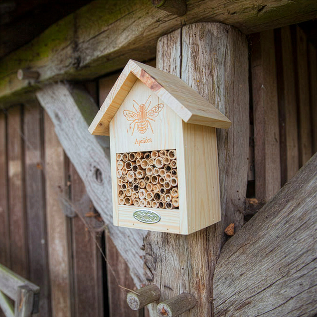 Bienenhaus aus Naturholz