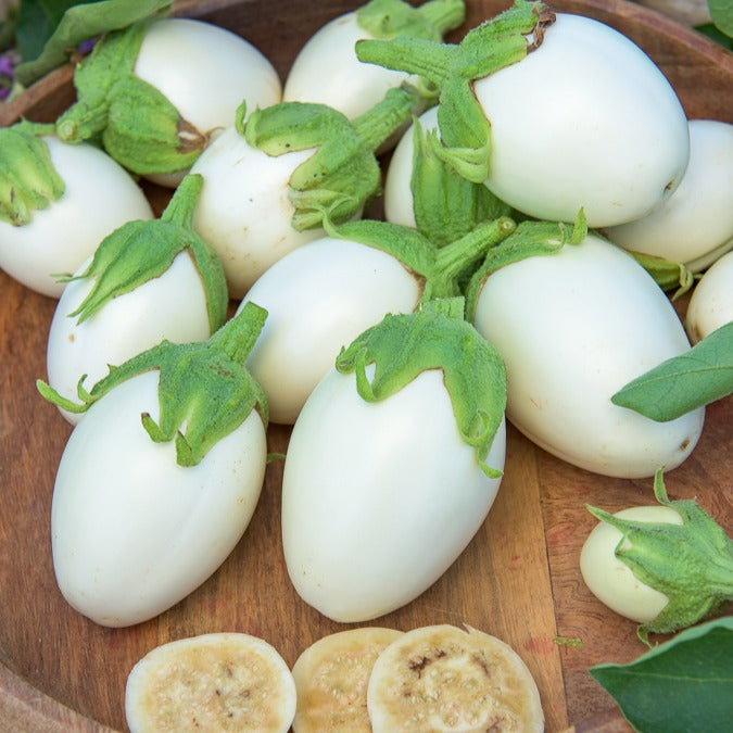 Aubergine ‘Blanche ronde à œufs’ - Willemse