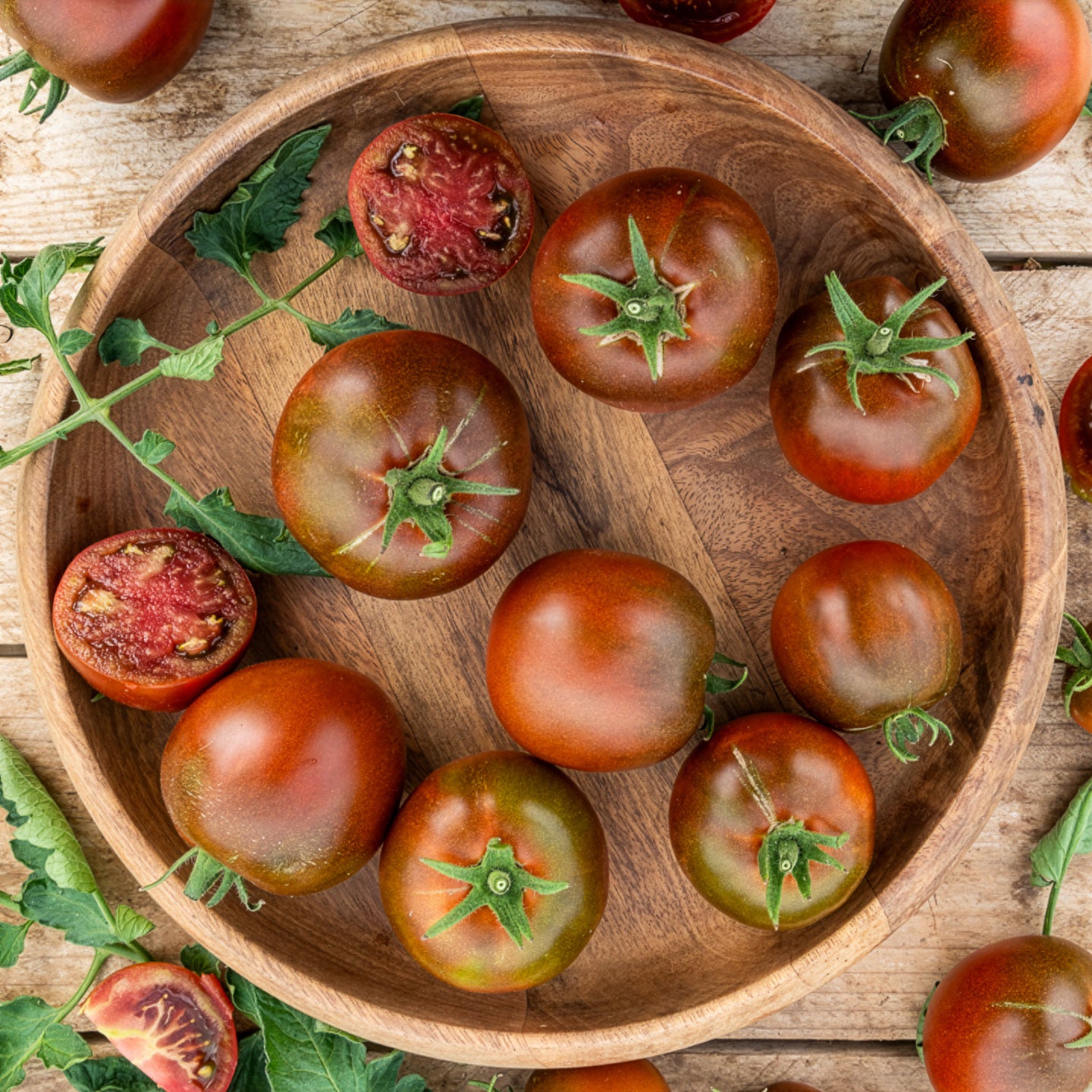 Schwarze Fleischtomate 'Noire Russe' - Willemse