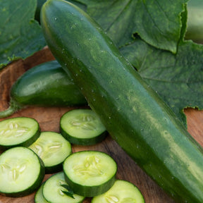 Gurke ‘Le Généreux’