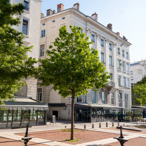 Montpellier-Ahorn - Willemse