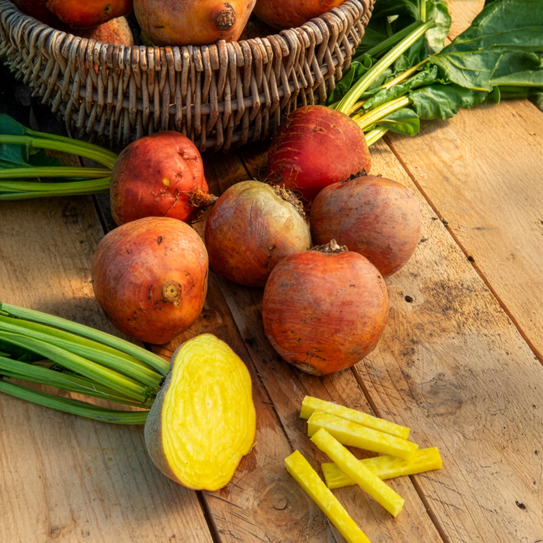 Gelbe Bete Burpees Golden - Willemse