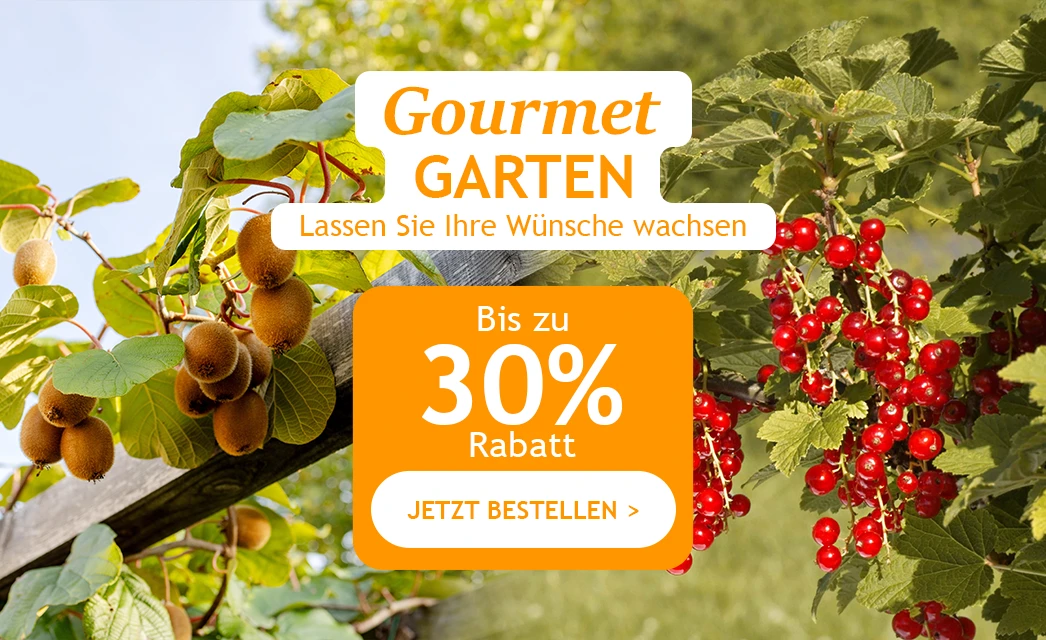 Gourmet-Garten bis zu 30 % Rabatt!
