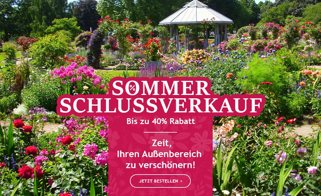 Der Sommerschlussverkauf beginnt: bis zu -40% Rabatt!