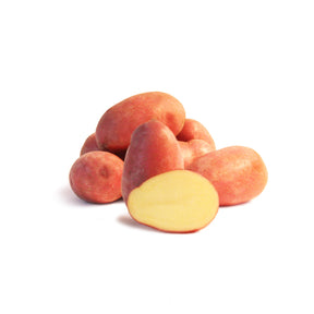 Kartoffelpflanzen - Kartoffel Rose de France (Cirielle) - Solanum tuberosum rose de france (cirielle)