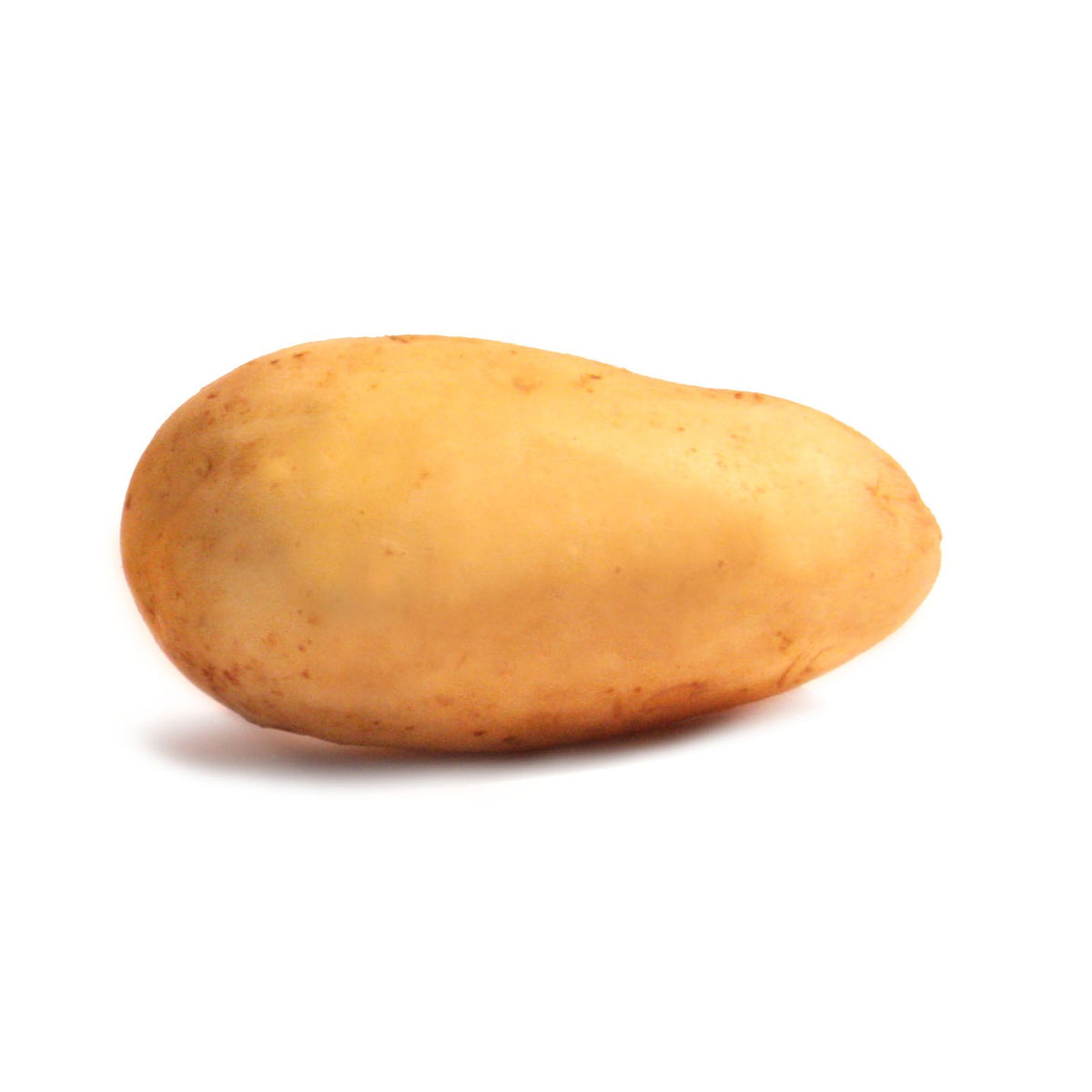 Weiße Kartoffeln BIO (x25) - Solanum tuberosum blanche (cn 991131) - Willemse