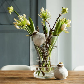 Wachs Amaryllis Magic White - Amaryllis Magic White - Willemse