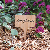 Pflanzenetiketten  (x15) - Willemse